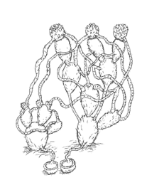 logic circuit in the shape of nopal